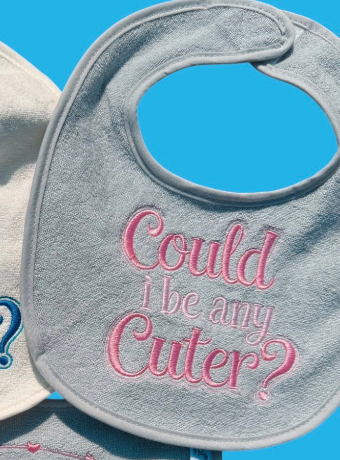 Could I Be Any Cuter? Baby Girl Bib