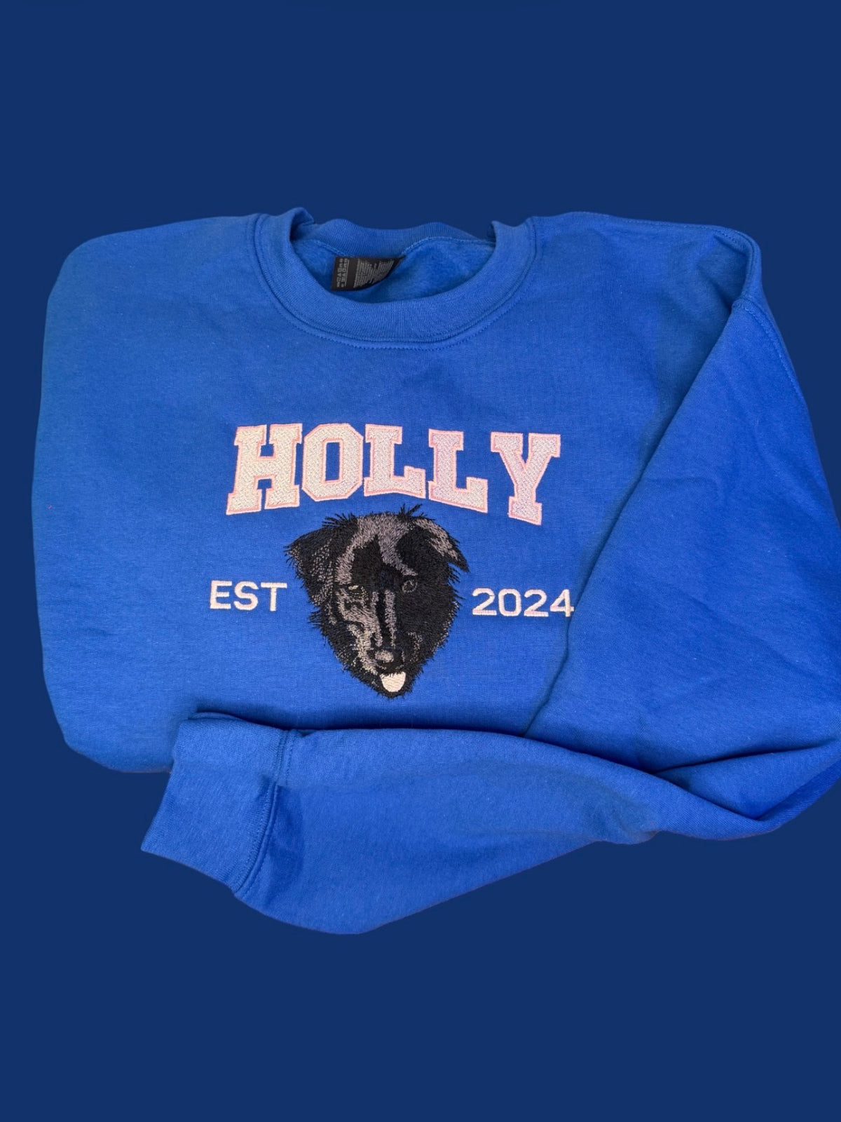 Varsity-Styled Pet Sweatshirt